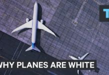 Here’s why most planes are white