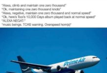 Why computers will never replace pilots