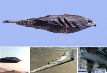 B-2 Spirit Stealth Bomber Mind-Blowing Facts