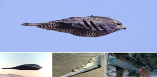 B-2 Spirit Stealth Bomber Mind-Blowing Facts
