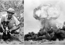 Gunner – The hero dog who could differentiate between the sounds of Japanese and Allied aircraft