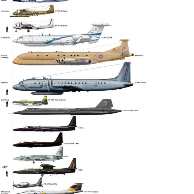 Reconnaissance + Observation Aircraft Size Comparison - Aviation Humor