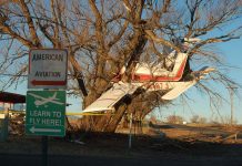 True Story Behind “Plane in a Tree” Photo…