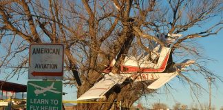 True Story Behind “Plane in a Tree” Photo…