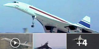 Top Concorde Videos All In One Place