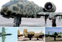 A-10 JAWS Spotted Camouflage Oddity