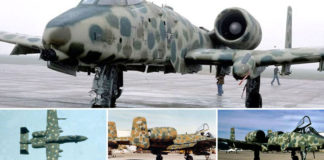 A-10 JAWS Spotted Camouflage Oddity