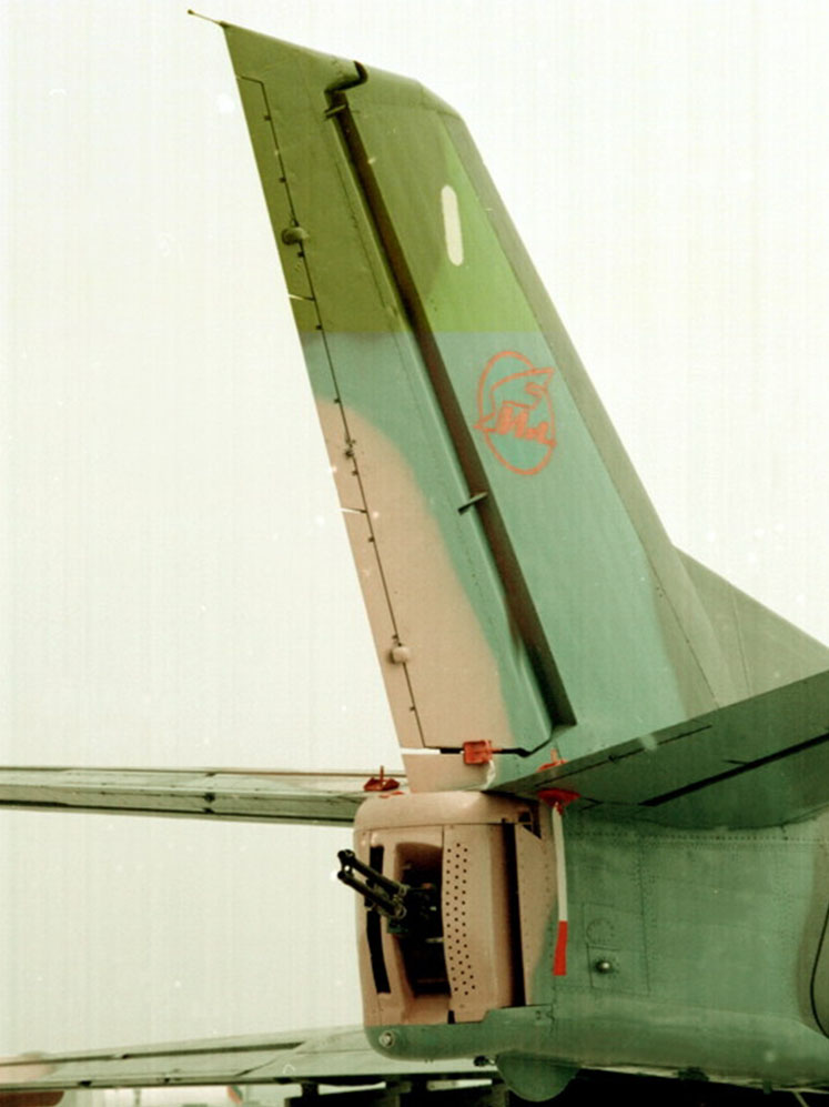 Ilyushin-Il-102-4.jpg