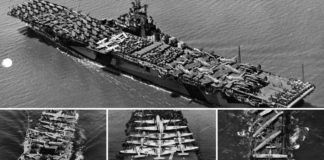 Literal Aircraft Carriers