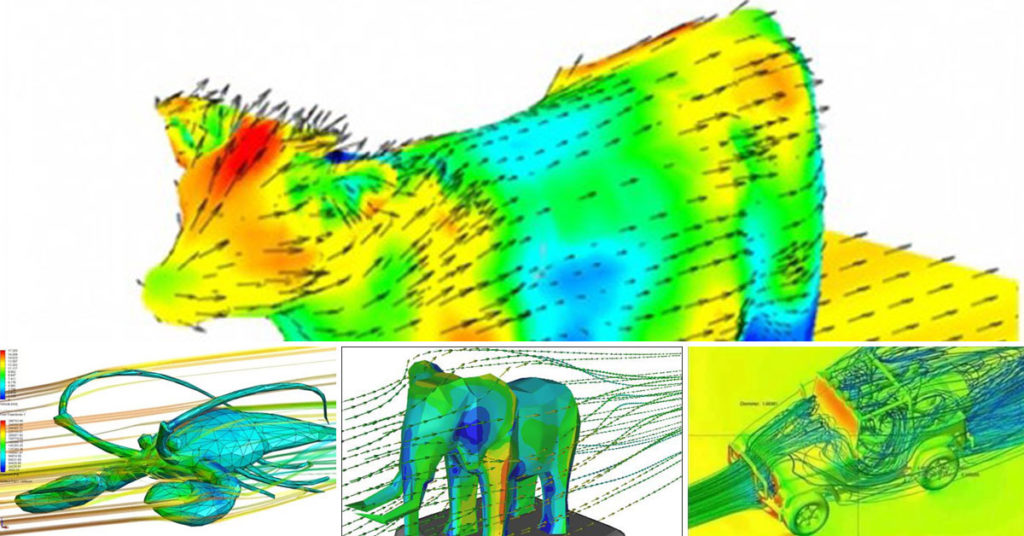Aerodynamics of Animals