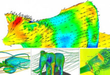 Aerodynamics of Animals. In Case You Wondered! Aerodynamics of Animals