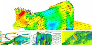 Aerodynamics of Animals. In Case You Wondered! Aerodynamics of Animals