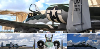 A-10 with a P-51 Mustang paint job makes me want to BRRRT