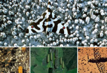 Best Examples Of Aircraft Camouflage