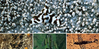Best Examples Of Aircraft Camouflage