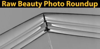 Aviation’s Raw Beauty: A Photo Roundup