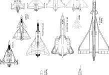 The Delta Wing And Its Variants