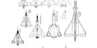 The Delta Wing And Its Variants